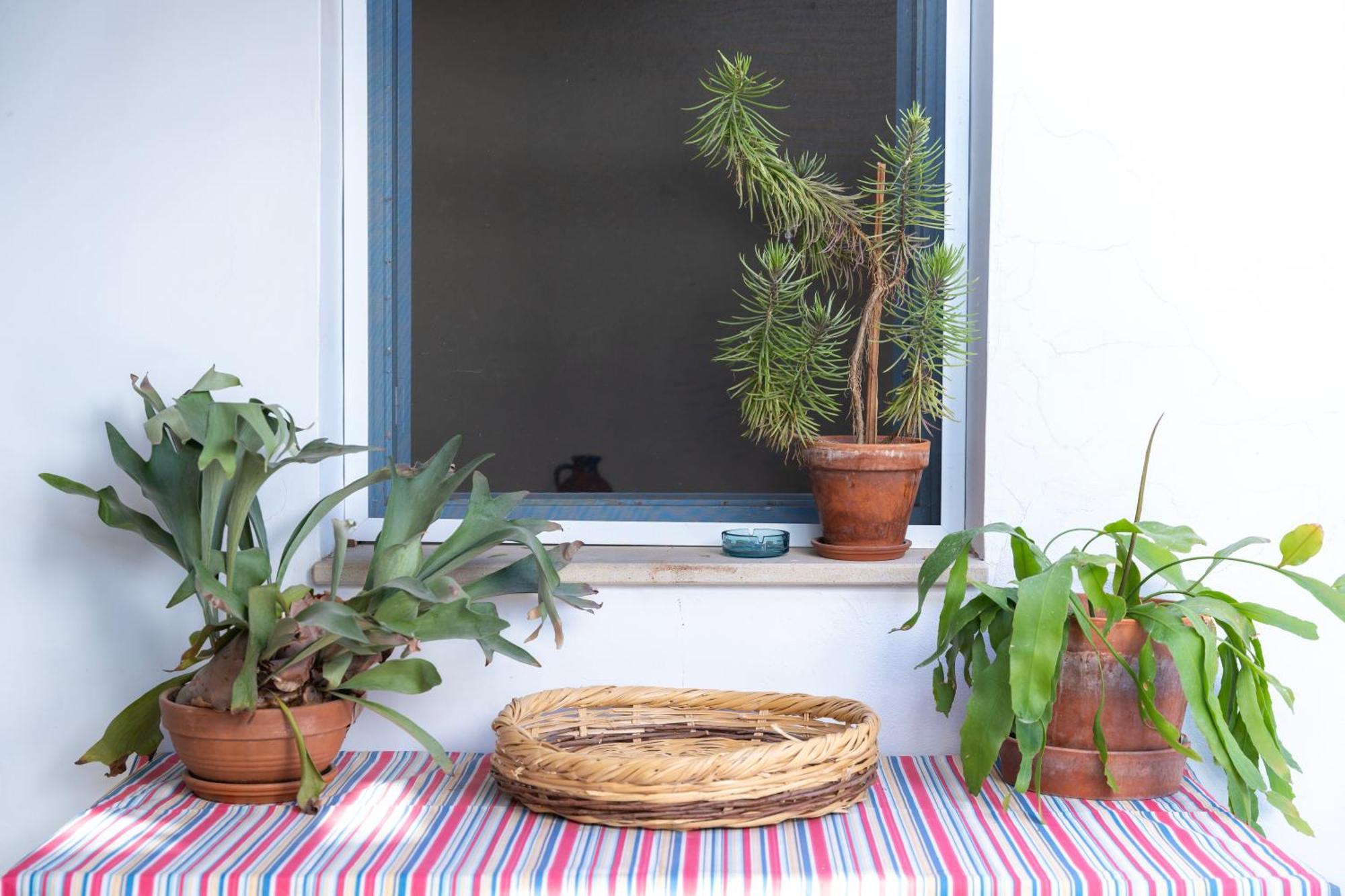 Ananke Home นิโคเซีย ภายนอก รูปภาพ